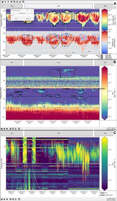 The “SPectrogram Analysis and Cataloguing Environment” (SPACE) labelling tool